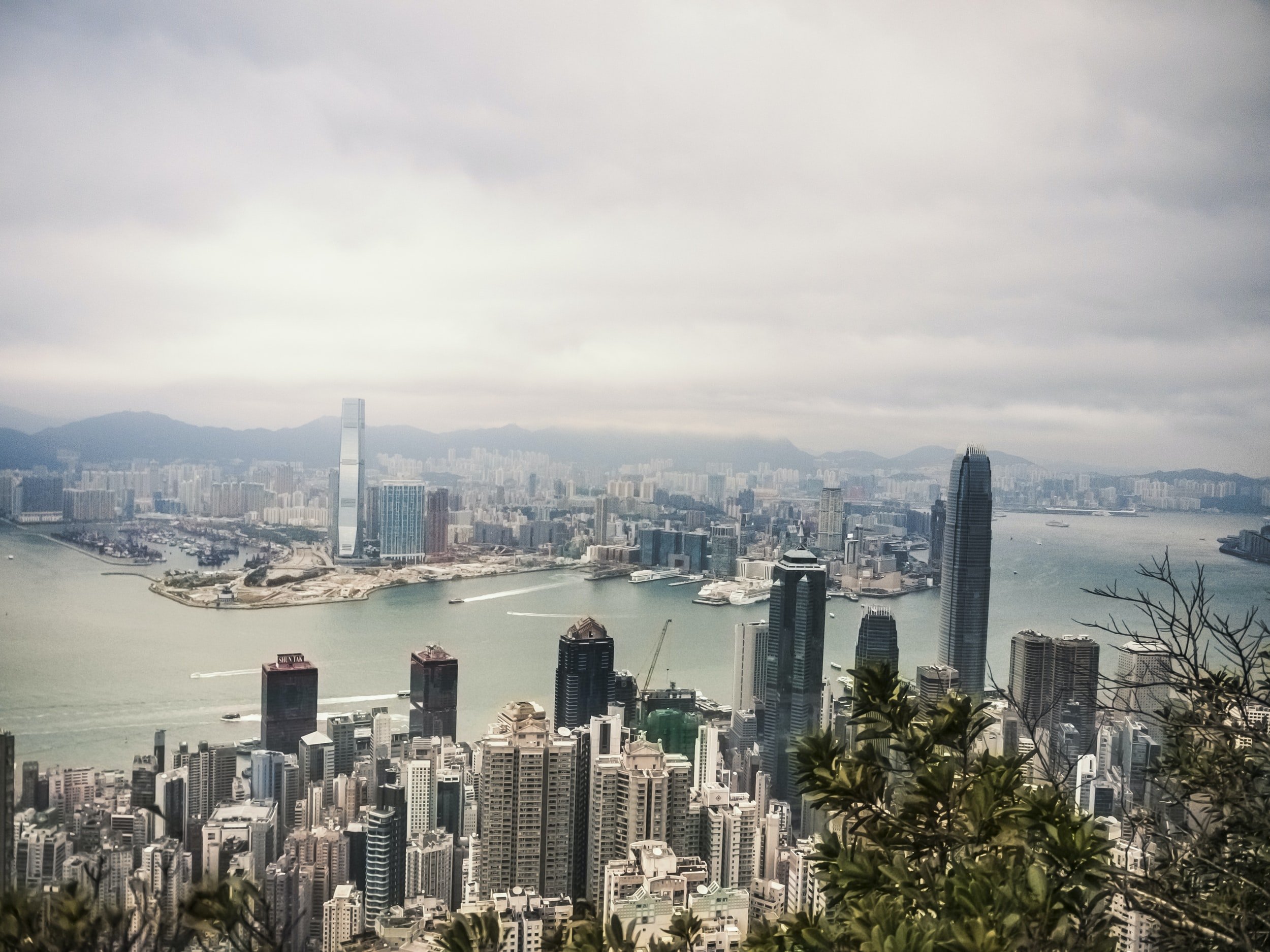 Hong Kong SEO: Why is It Important for Your Business