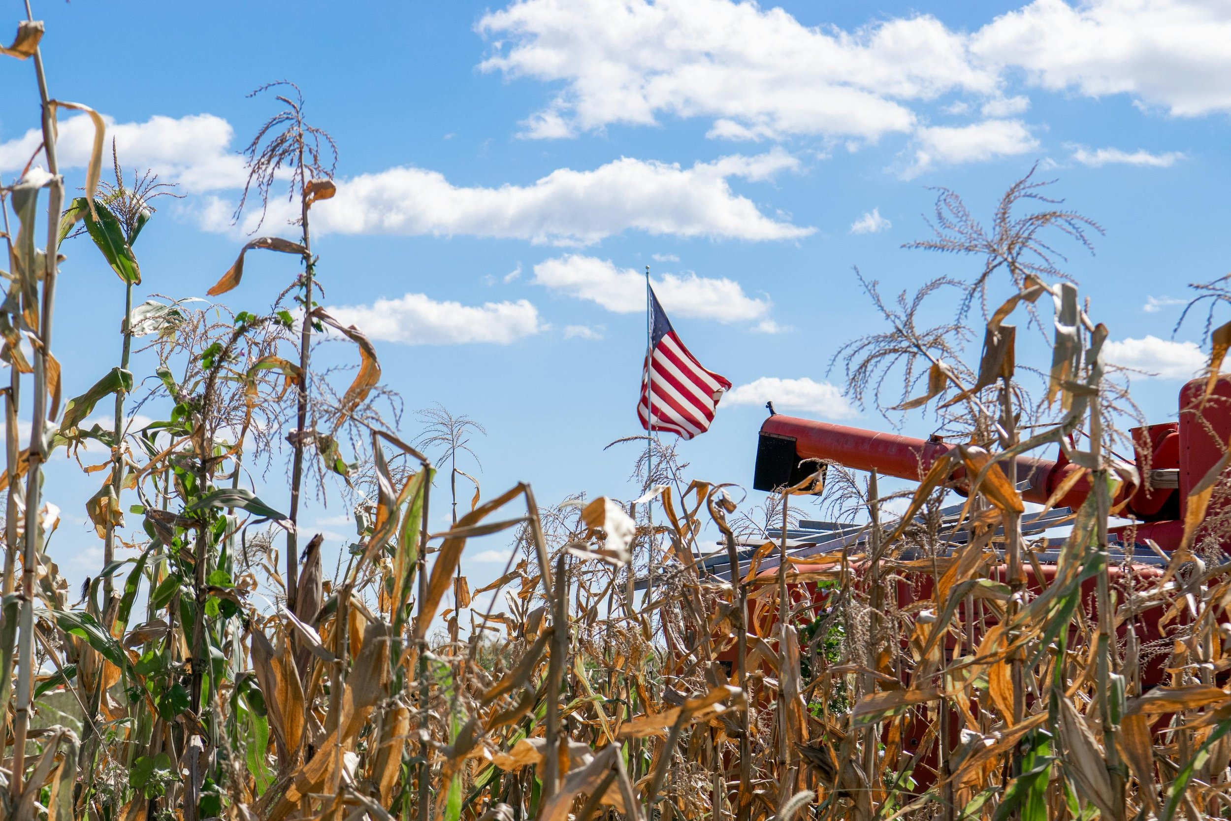 Export Marketing: How to Successfully Market to the USA
